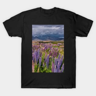 A Church in a Field of Lupins T-Shirt